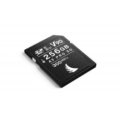 ANGELBIRD AV PRO SD MK2 256 GB V90