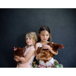 Lastolite Fondo Vintage 1,5m x 2,1m Walnut/Pewtar