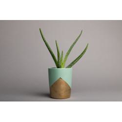 SUPERIOR FONDO 58 Slate Gray 2.75X11