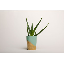 SUPERIOR FONDO 28 Snow 2.75X11