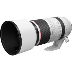CANON RF 100-500/4-5.7 L IS USM