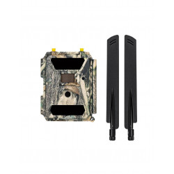 Dörr Cámara de fototrampeo Snapshot Cloud 4G