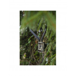 Dörr Cámara de fototrampeo Snapshot Cloud 4G